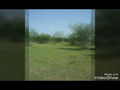 جديد الفنان مهدي الامين شرشر بوصيك عليه