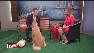 Pet Peace of Mind program