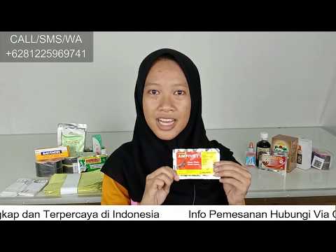 paling-laris-!!-wa-o81225969741-kapsul-ampivet-obat-pilek-untuk-ayam