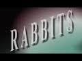 Rabbits starring suzie