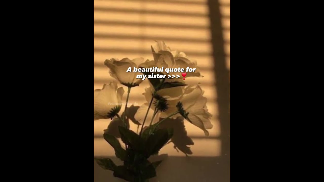 A Beautiful Quote For My Sister islamic halal sister love viral A Beautiful Quote For My Sister islamic halal sister love viral