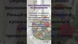 Букет, который светится без электричества  #цветы