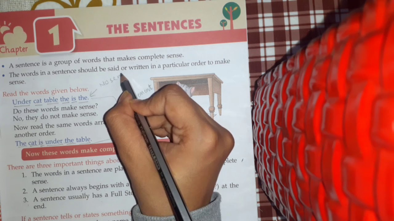 Class 3( English Grammar )Chapter 1 The Sentences
