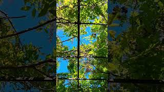 The #poetry of the #earth is never dead.                        #greenliving #lifechanging #promise