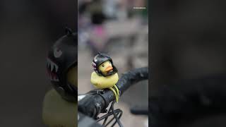 Treats, bikes fill Fort Collins for Summer Bike to Work Day