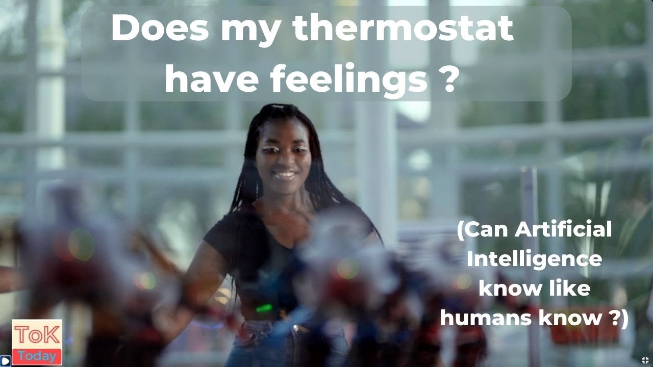 Does my thermostat have feelings? (or "does Artificial Intelligence