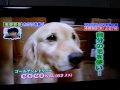 うそみたいな本当の話