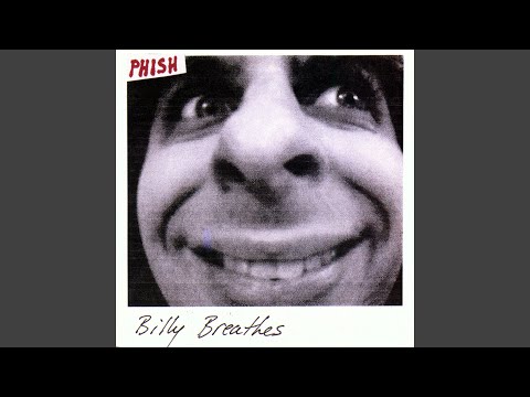 Theme From the Bottom - Phish