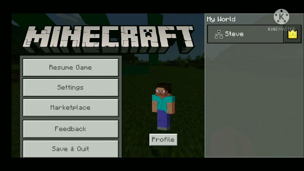 How to remove raid effect in ( MINECRAFT) YouTube