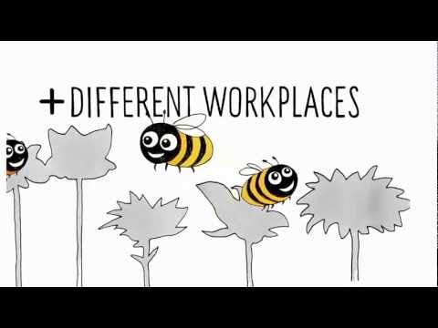 From Ants Society to Bumble Bee Society