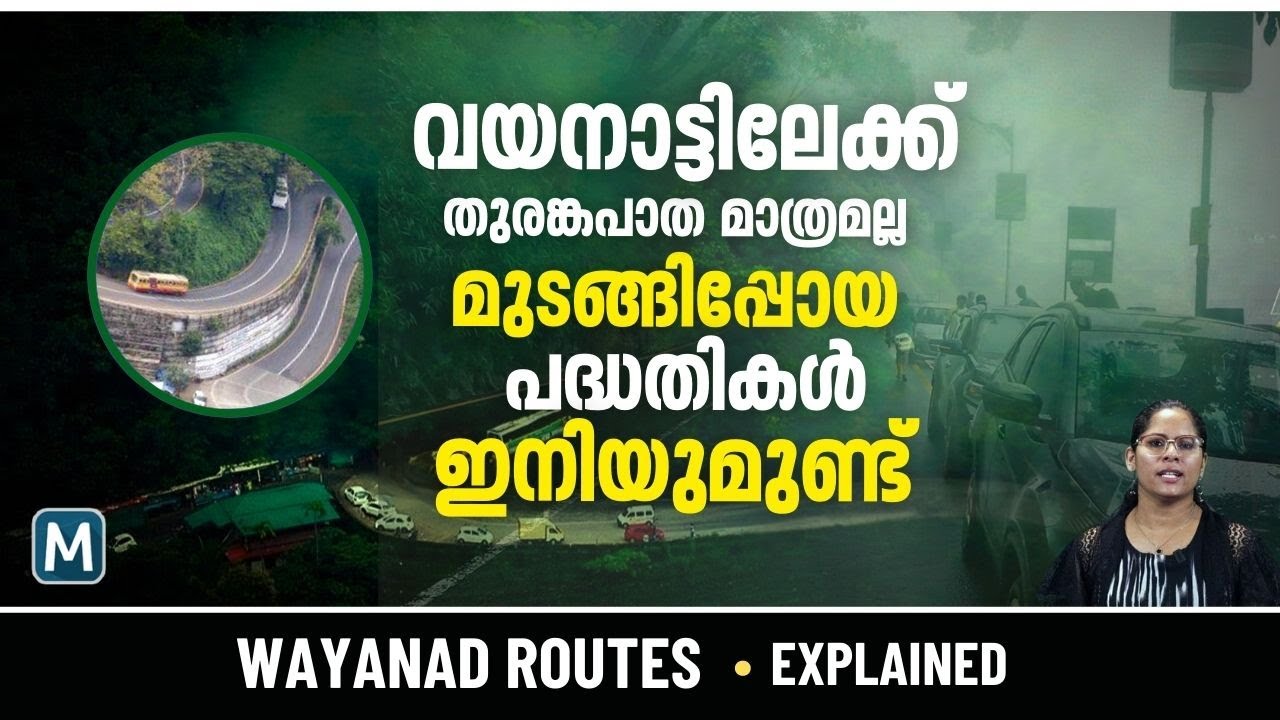 തുരങ്കപാത, പടിഞ്ഞാറത്തറ-പൂഴിത്തോട്, ചുരം ബൈപ്പാസ്..; താമരശ്ശേരി ചുരത്തിന് ബദൽ പാതകൾ പലതുണ്ട്