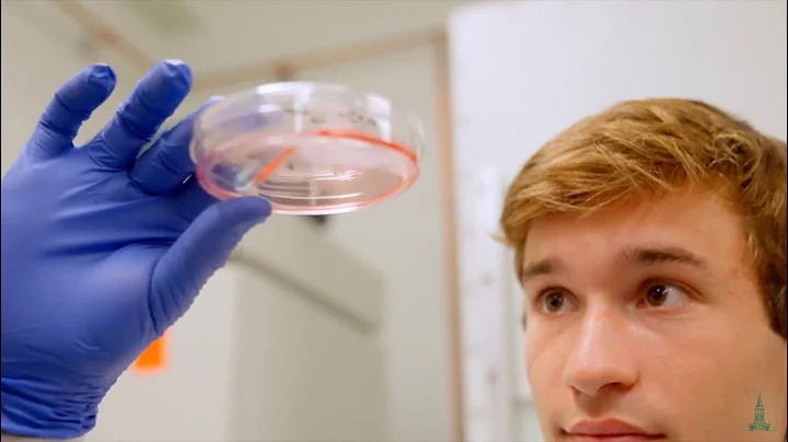 Meet Remi | The College Tour at UVM