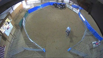 Big Sky Ranch Sorting Saddle Series #4 - #7 SORT - Round #2 - Ride #9