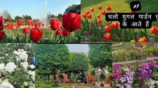 ग्रीन पार्क रेवाड़ी का Green Park revadi ka#trending #viral