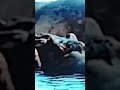Wildlife # Hippos Life