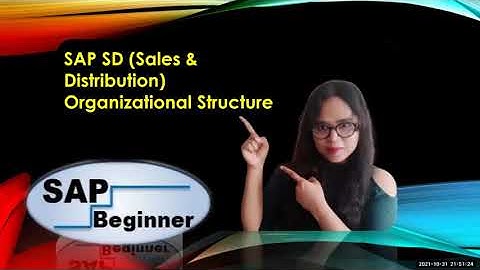 SAP SD Sales and Distribution Organizational Structure