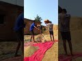जय माहिष्मति..🤣😂✅//@halba_pilaa //#sorts #video #viral