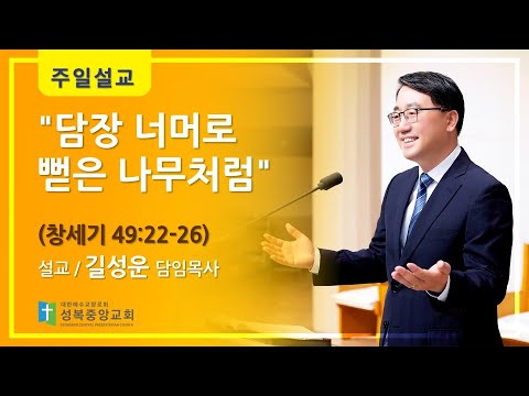 "담장 너머로뻗은 나무처럼"(창세기 49:22-26)