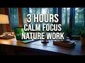 3 Hour Calm Focus Music – Acoustic Guitar &amp; Forest Sounds for Deep Work (No Distractions)