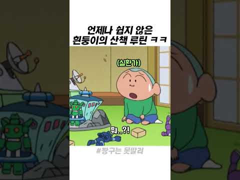 언제나 쉽지 않은 흰둥이의 산책 루틴 ㅋㅋ thumbnail