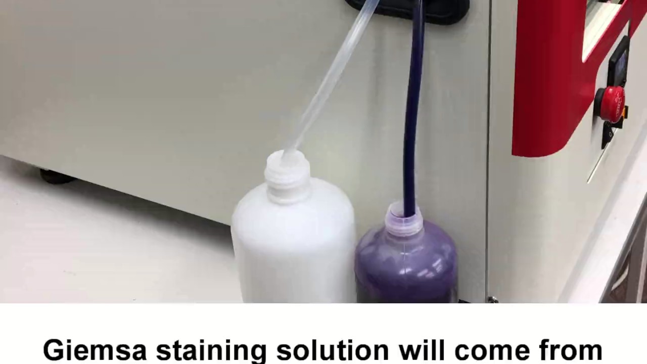 HANABI S1020 Chromosome Stainer - ADS Biotec