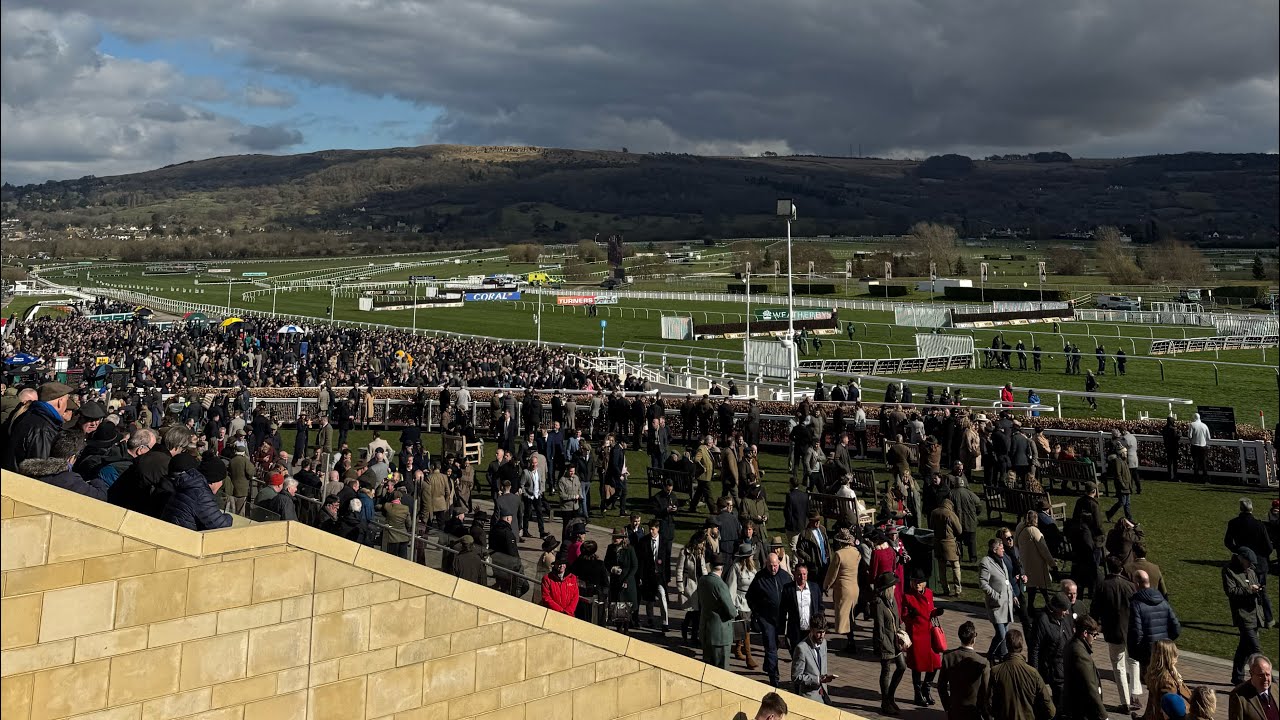 An honest day punting -Cheltenham Festival Day 2🐎