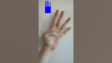 finger count mediapipe