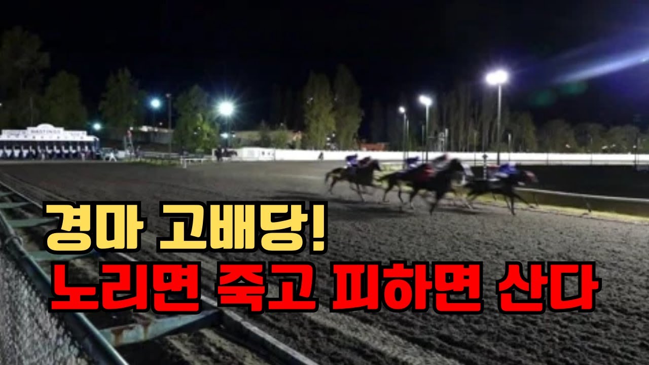 🔥경마 시즌1 제6강｜"이걸 모르면 고배당 절대 못 딴다!”