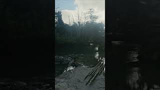 #god #river #travel #jamaica #nature #living #mentalhealth #peace #sun #clouds #trees