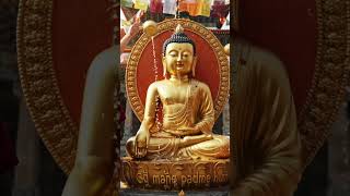 Om mane padme hum..(Happy birthday Buddha) #nepal #peacefulchants #buddha #lumbini #monks #peace