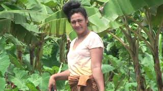 Manū e le fati movie - Aigalemisa Solofa by Samoa Visual Online 136,942 views 13 days ago 1 hour, 1 minute