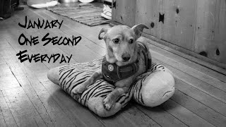 One Second Everyday | January 2020