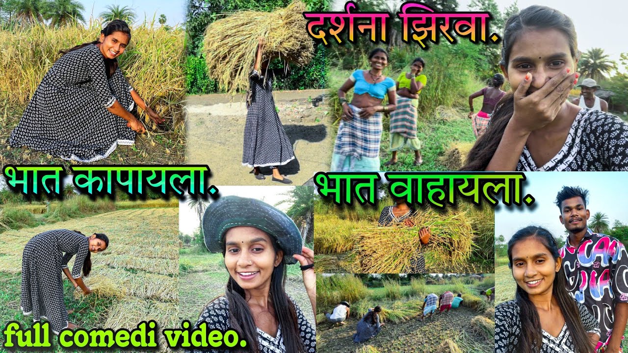 Darshana Zirva,दर्शना झिरवा भात कापायला,भात वाहायला full enjoy comedy video nakki baga.