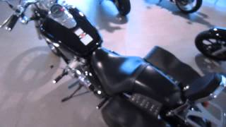 MVI 3653