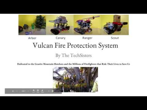Vulcan Fire Protection System