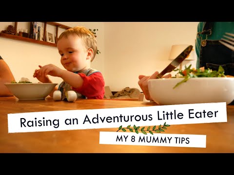 HOW TO RAISE A GREAT EATER | 8 tips for raising your toddler to be an adventurous eater