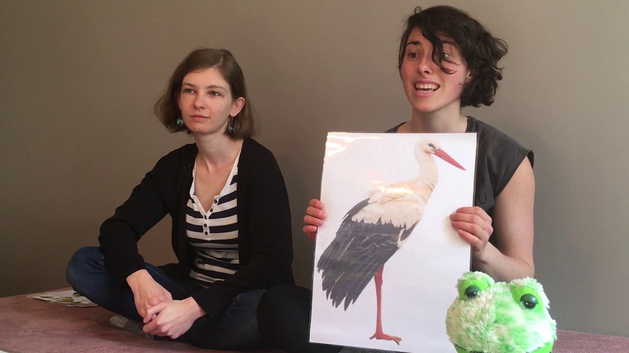 Stork and frog 