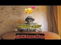  تجربتي مع الثانوي الصنايع الخمس سنوات هل تستحق الجزء الثاني  