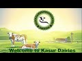 Welcome to kasur dairies