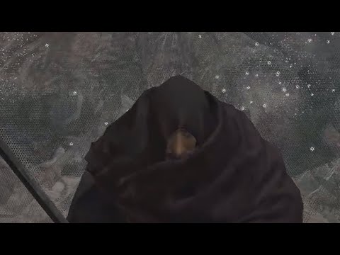 The Elden Flurry - Neffex moment