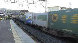 EF210 102号機 1051レ 貨物列車 平成25年9月25日撮影