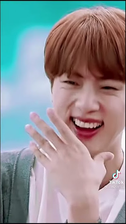 Seokjin Jangan Pergi Jin Hyung