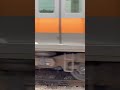 【ガタンゴトン】中央線 E233系0番台 ジョイント音