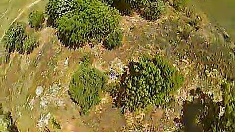 FPV | 1st Power Loop Inverted 360 Yaw Spin