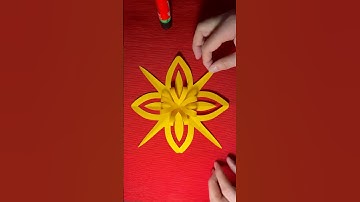 The Bizarre Science of Snowflakes (And Why They Matter)