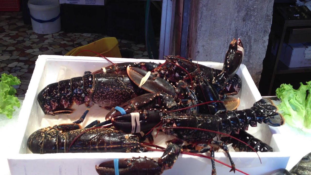Fresh Lobster from the Rialto Market in Venice YouTube