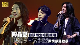 陶晶瑩憶張雨生唱到哽咽陳綺貞、韋禮安深情獻聲致敬