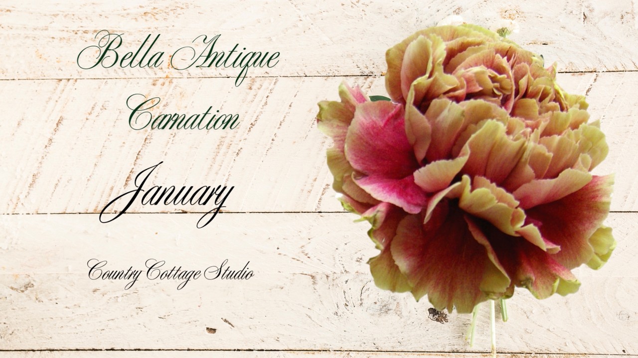 January s Silent Vlog   HD 1080p