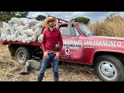 يوم في الريف المكسيكي غرزنا 