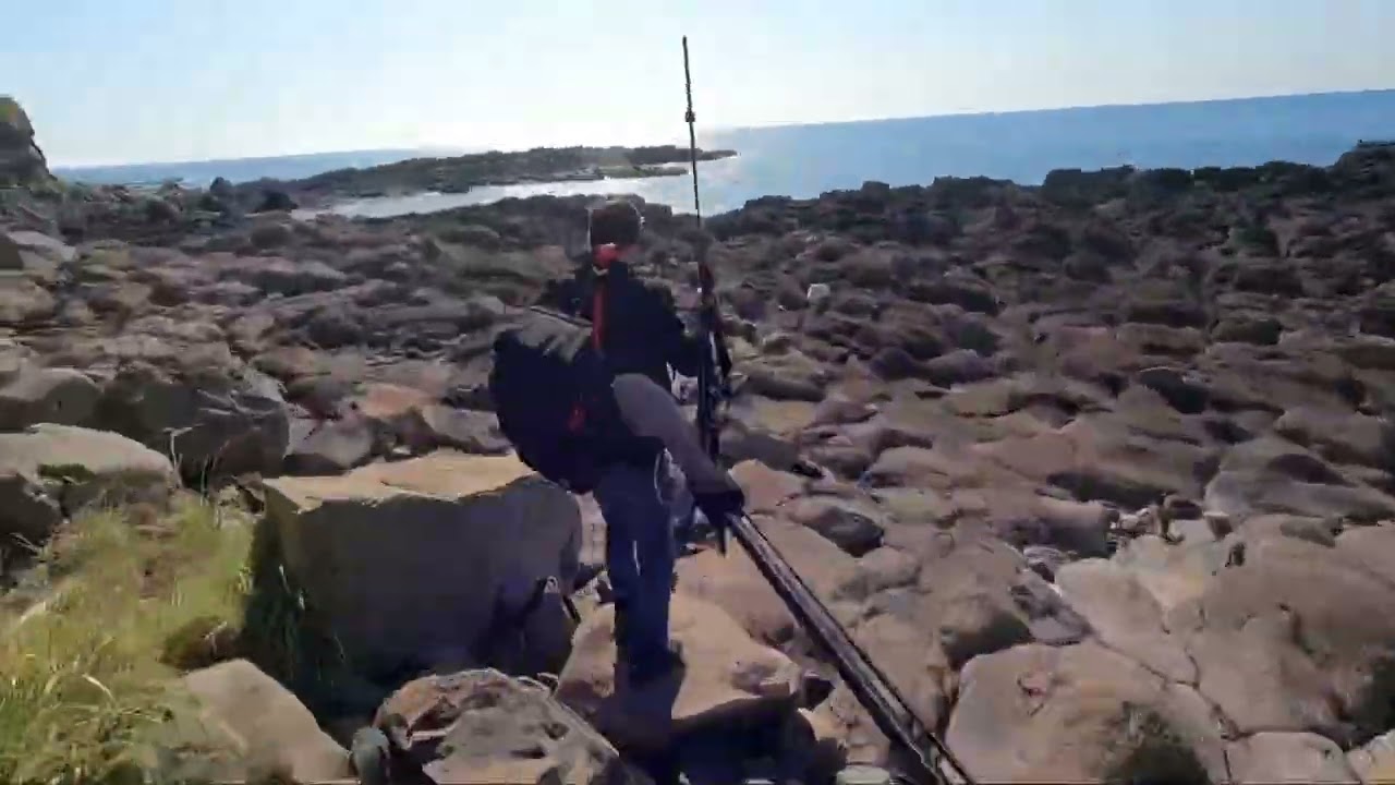 生月 大バエ・五のハエ